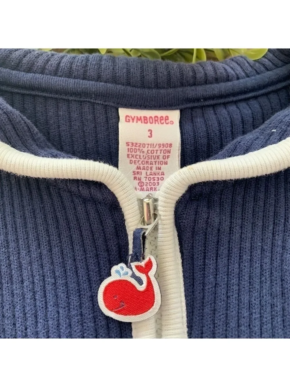 Gymboree whale watching